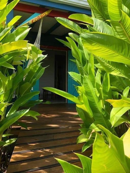 Secteur Prise, Bungalow Corail, Residence Casa Boubou 圣安尼 外观 照片