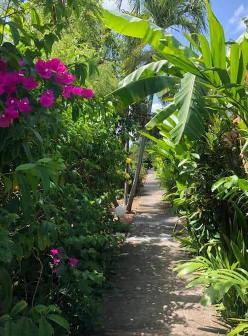Secteur Prise, Bungalow Corail, Residence Casa Boubou 圣安尼 外观 照片
