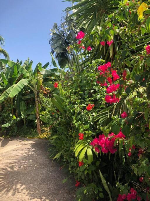 Secteur Prise, Bungalow Corail, Residence Casa Boubou 圣安尼 外观 照片